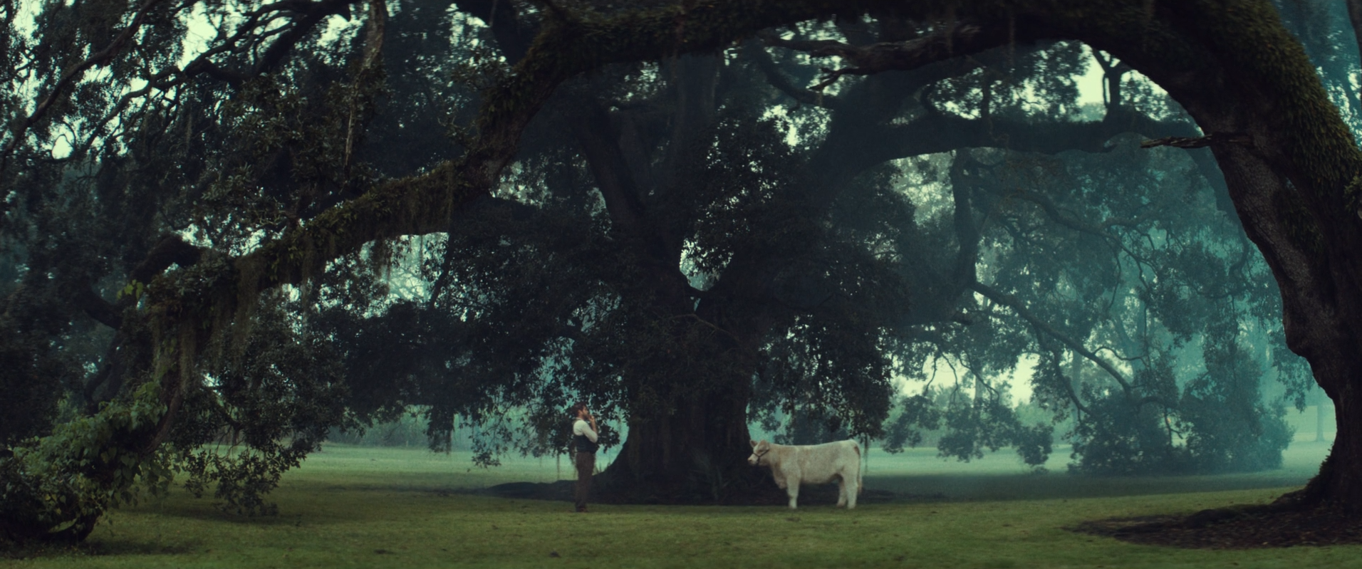 Royal Crown Cola "Slow is the way to go"