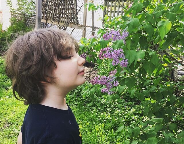 Sticking our noses in the lilacs 🌸 Thank God for Spring! 🌱
