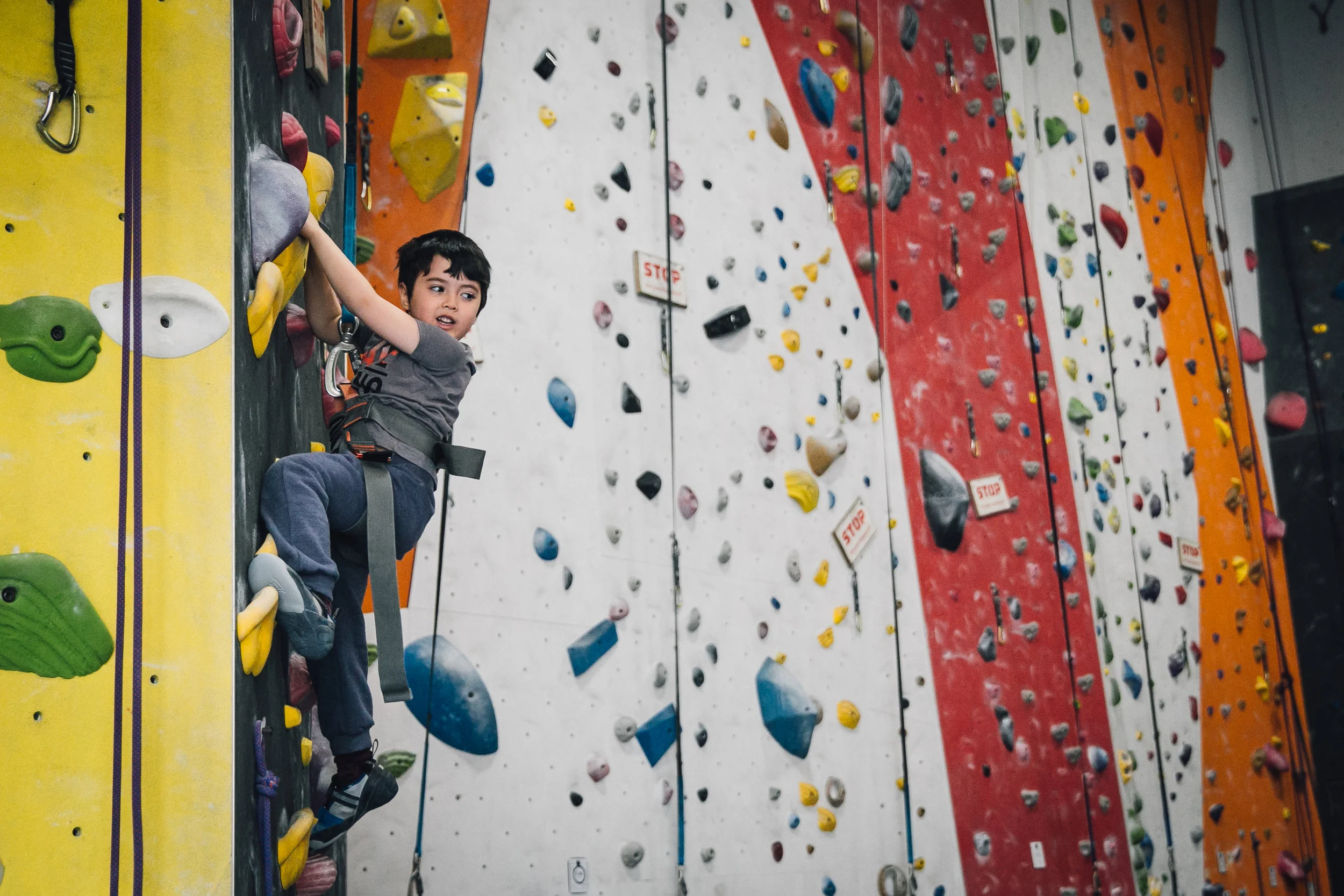 Climbing.jpg