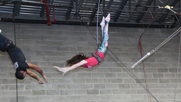 Trapeze+CircusActs.png