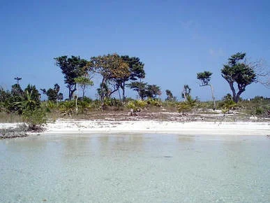 Habaneros Beach Ocean Front
