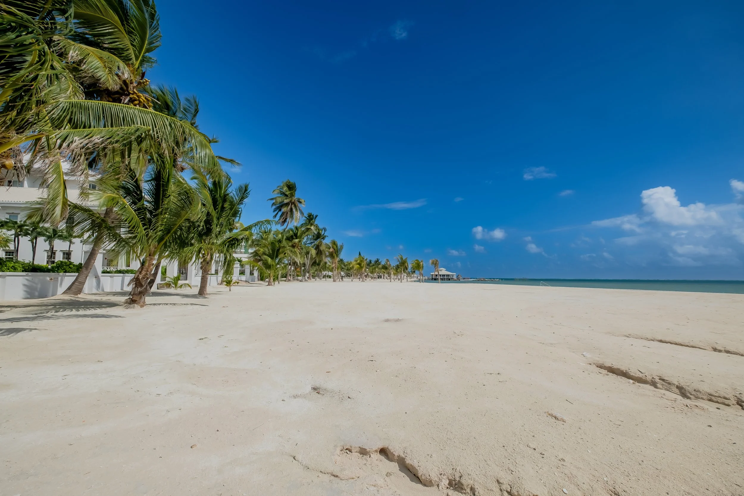 Grand Colony - Unit 1 - March_2026 - LIGH3381-HDR.jpg