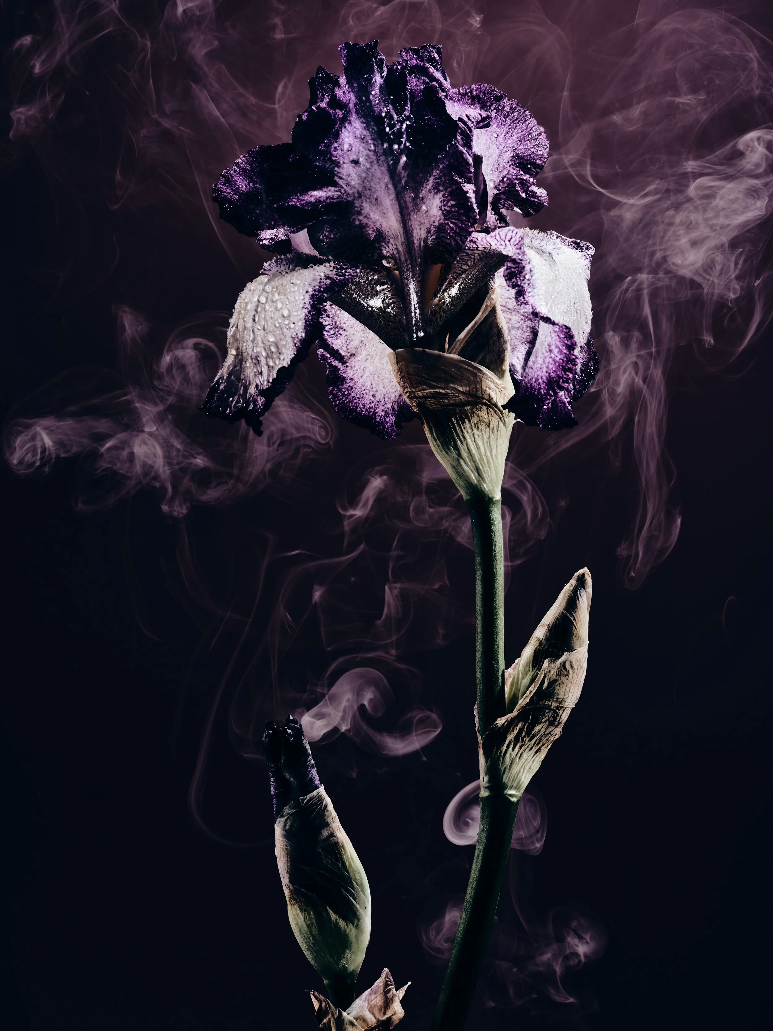 26_AnneCollab0755.jpg