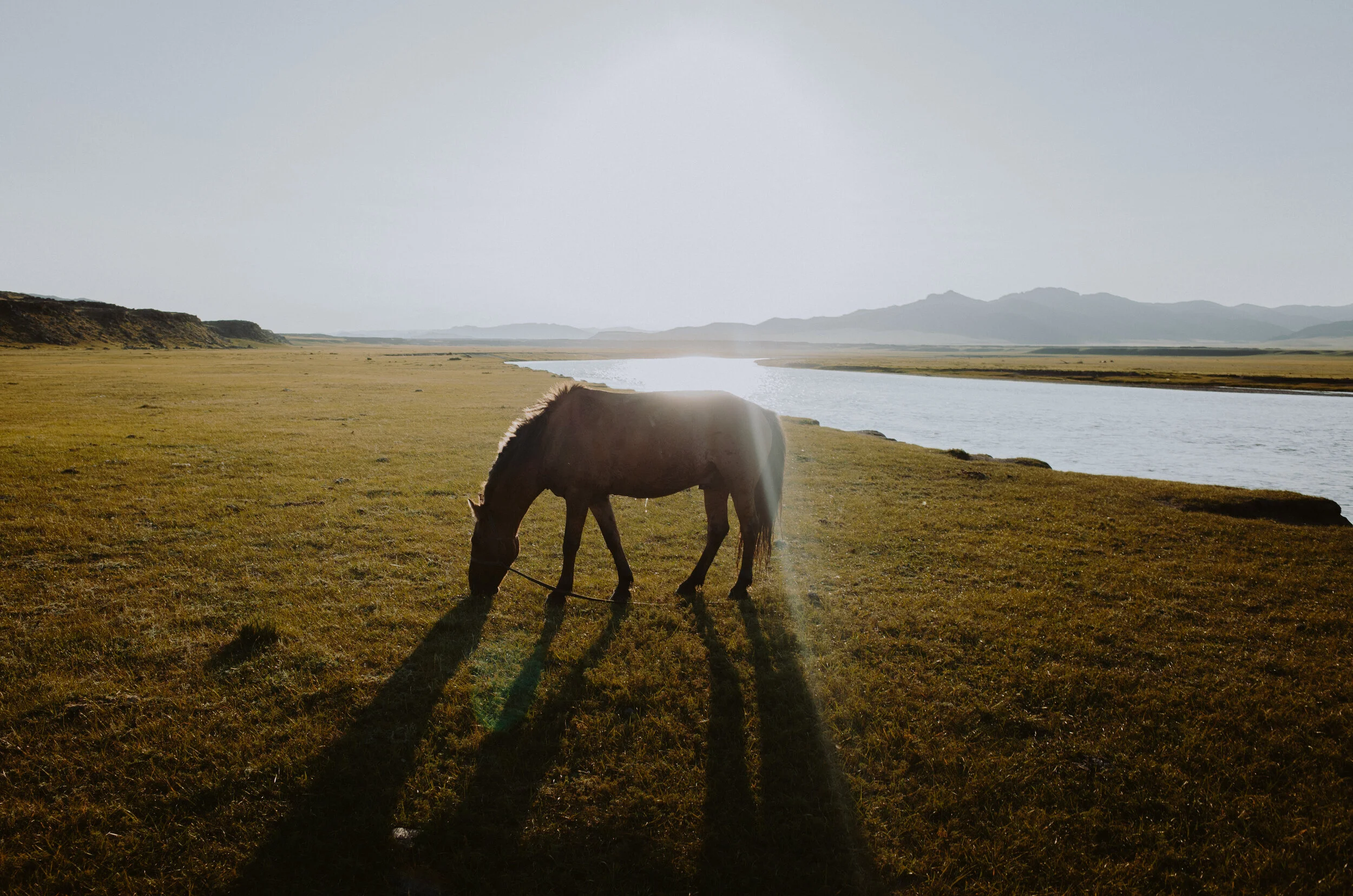 MONGOLIE AOUT 2018 VALLEE DE L ORKON ET DESERT DE GOBI-0001002.jpg