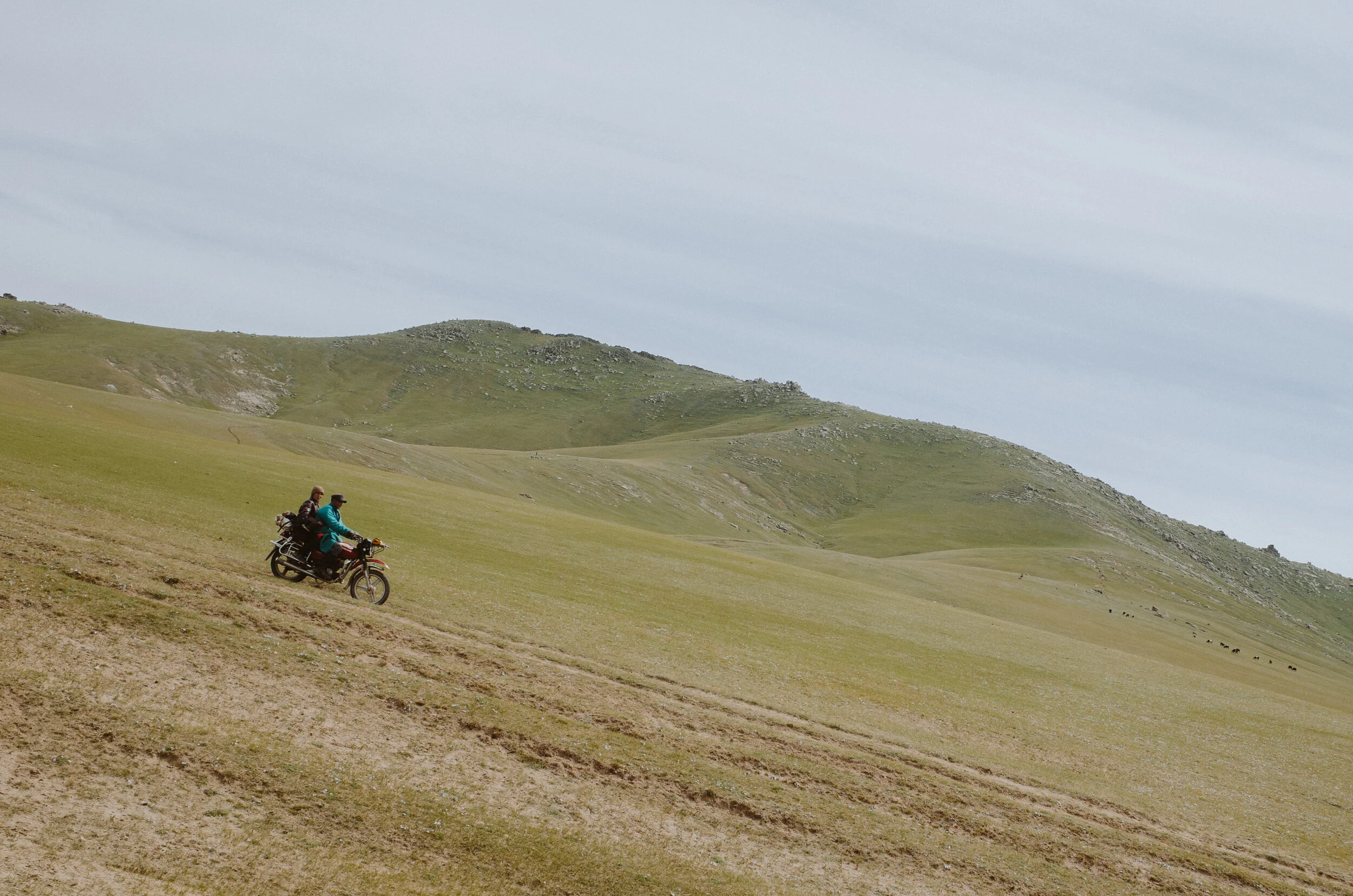 MONGOLIE AOUT 2018 VALLEE DE L ORKON ET DESERT DE GOBI-0000737.jpg