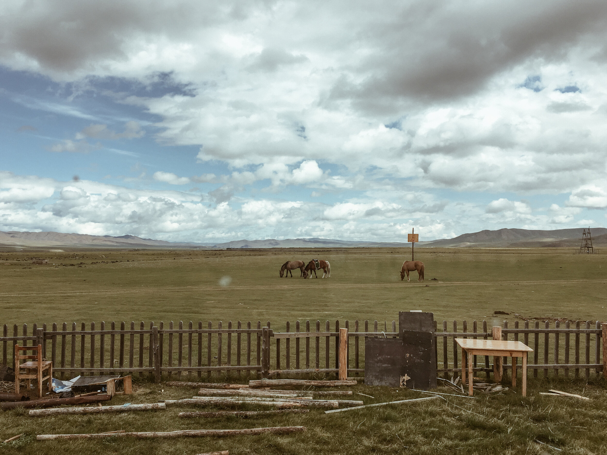 MONGOLIE AOUT 2018 VALLEE DE L ORKON ET DESERT DE GOBI-3367.jpg