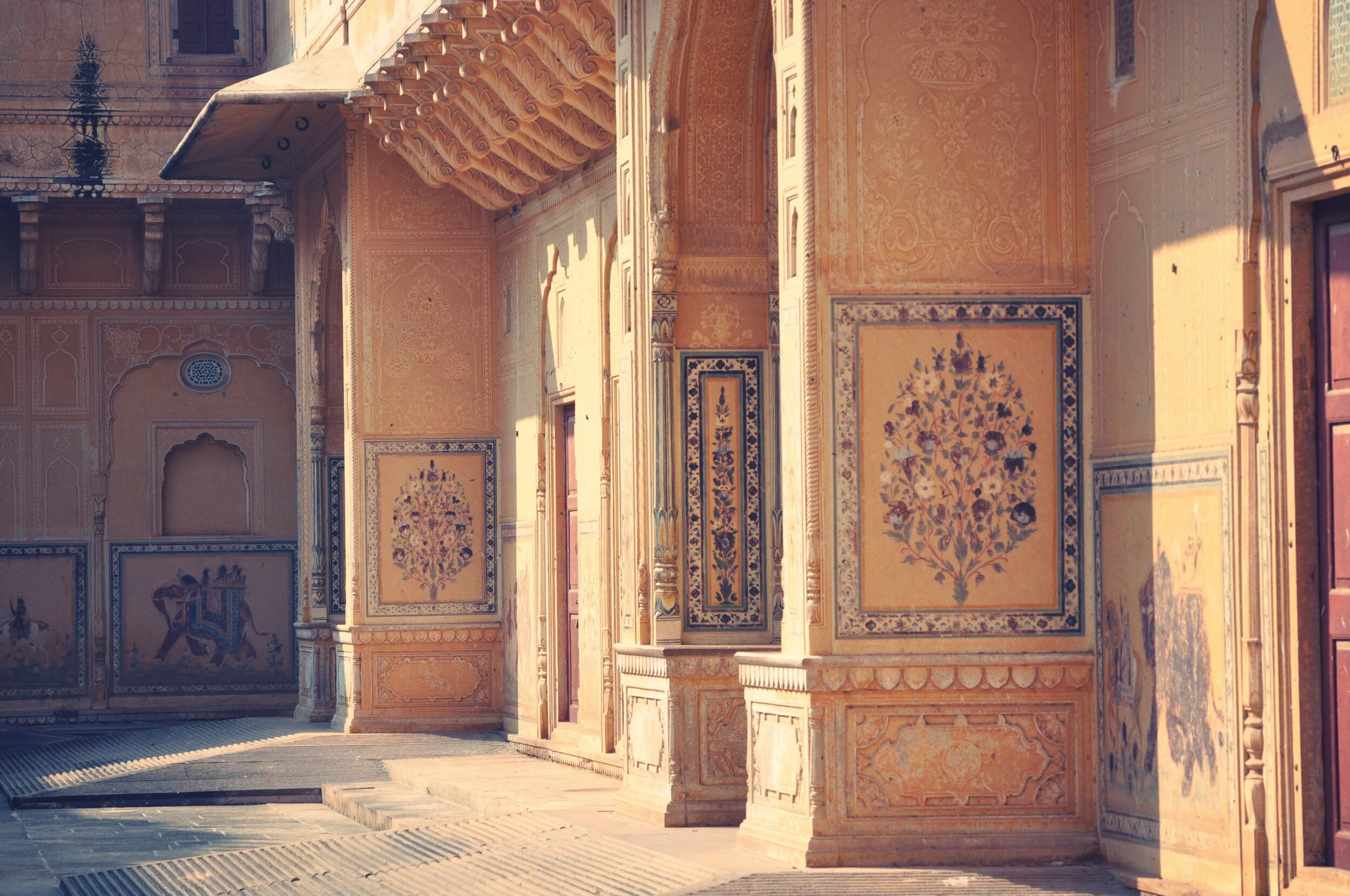 inde Rajasthan dec 2010-2175.jpg