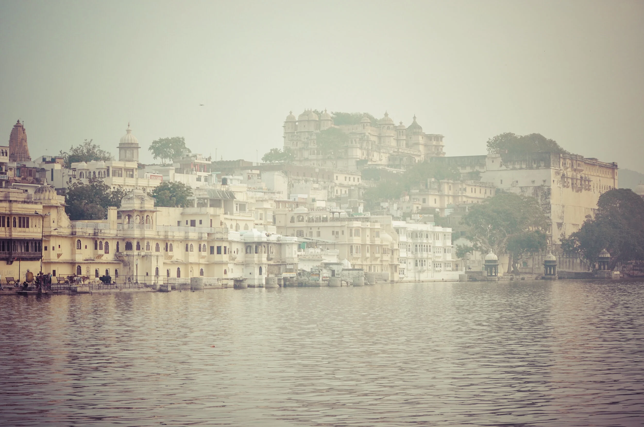 inde Rajasthan dec 2010-1140.jpg