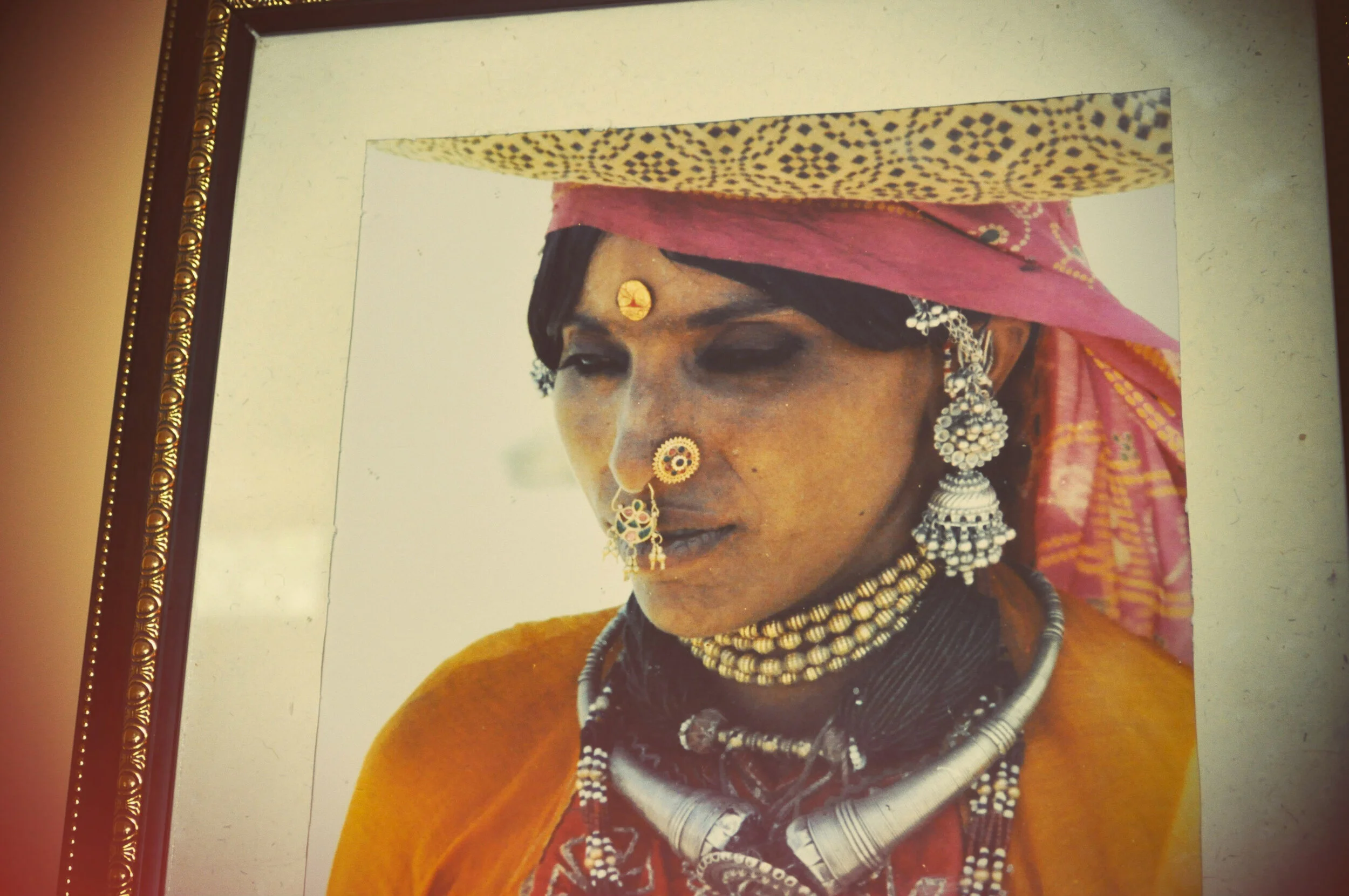 inde Rajasthan dec 2010-1988.jpg