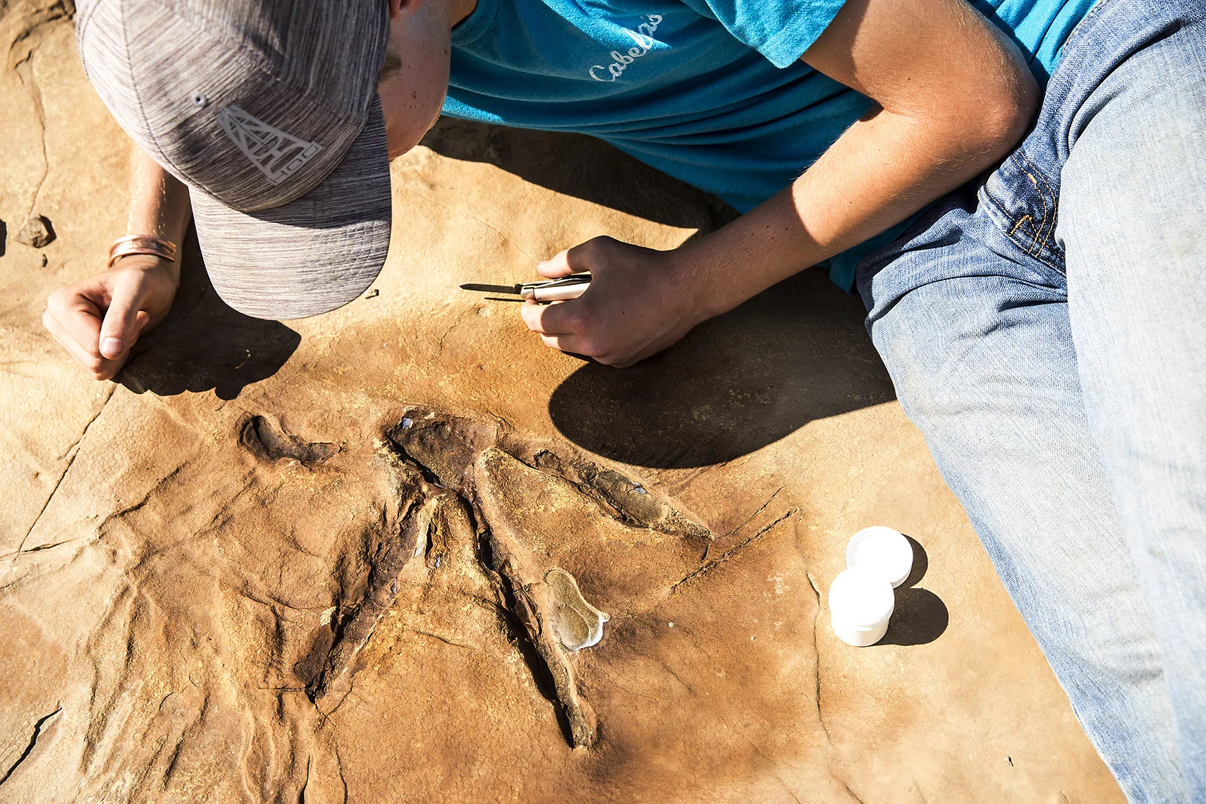 Paleontology Field School