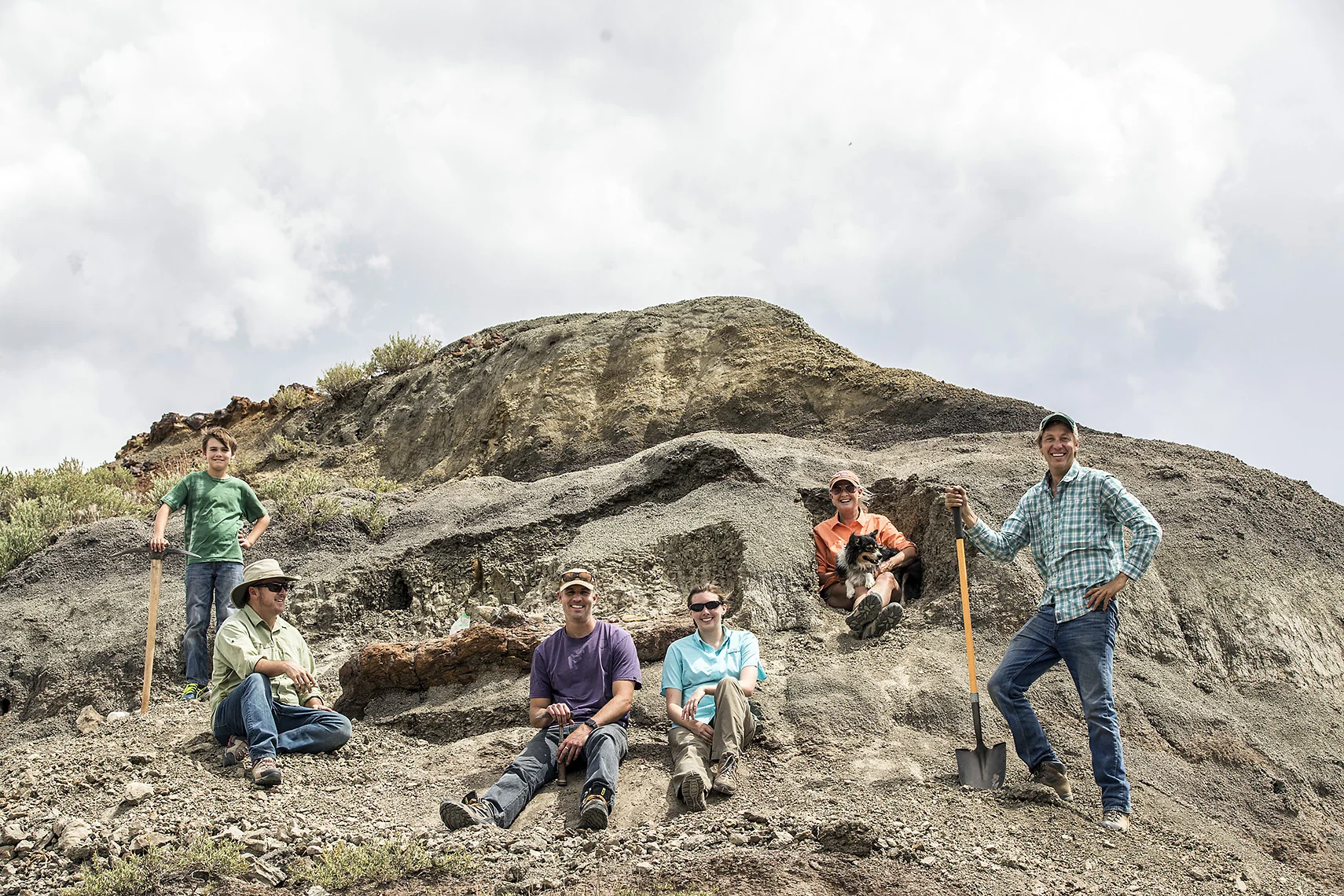 FIELD TEAM