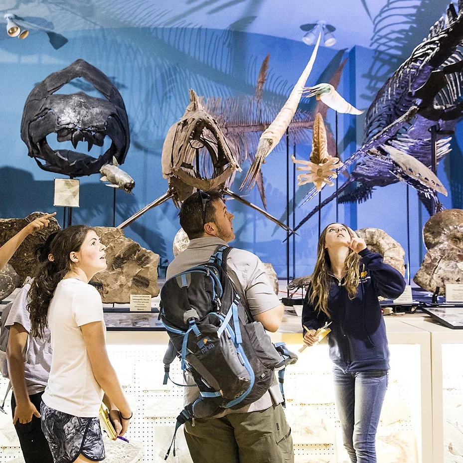John Wiley leads a group of enthralled students through museum collections from the Cretaceous Interior Seaway deposits in the black hills of South Dakota.
