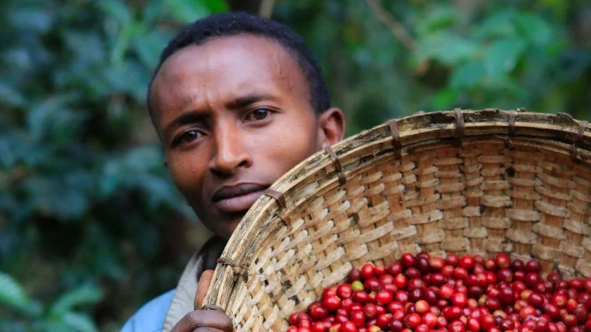 man_coffee_grower_1.jpeg