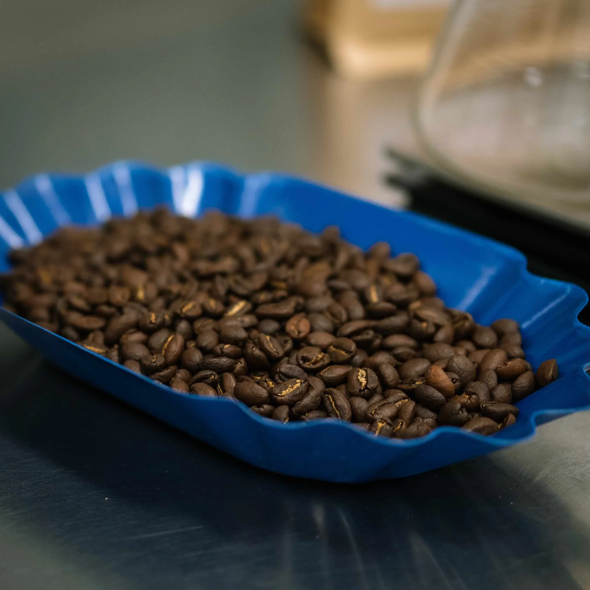 Mokamba Roast - Coffee in blue tray.jpg