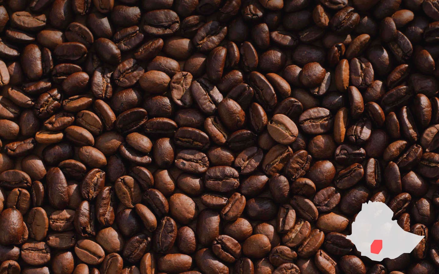 Yirgacheffe Map W coffee bean bg.jpg