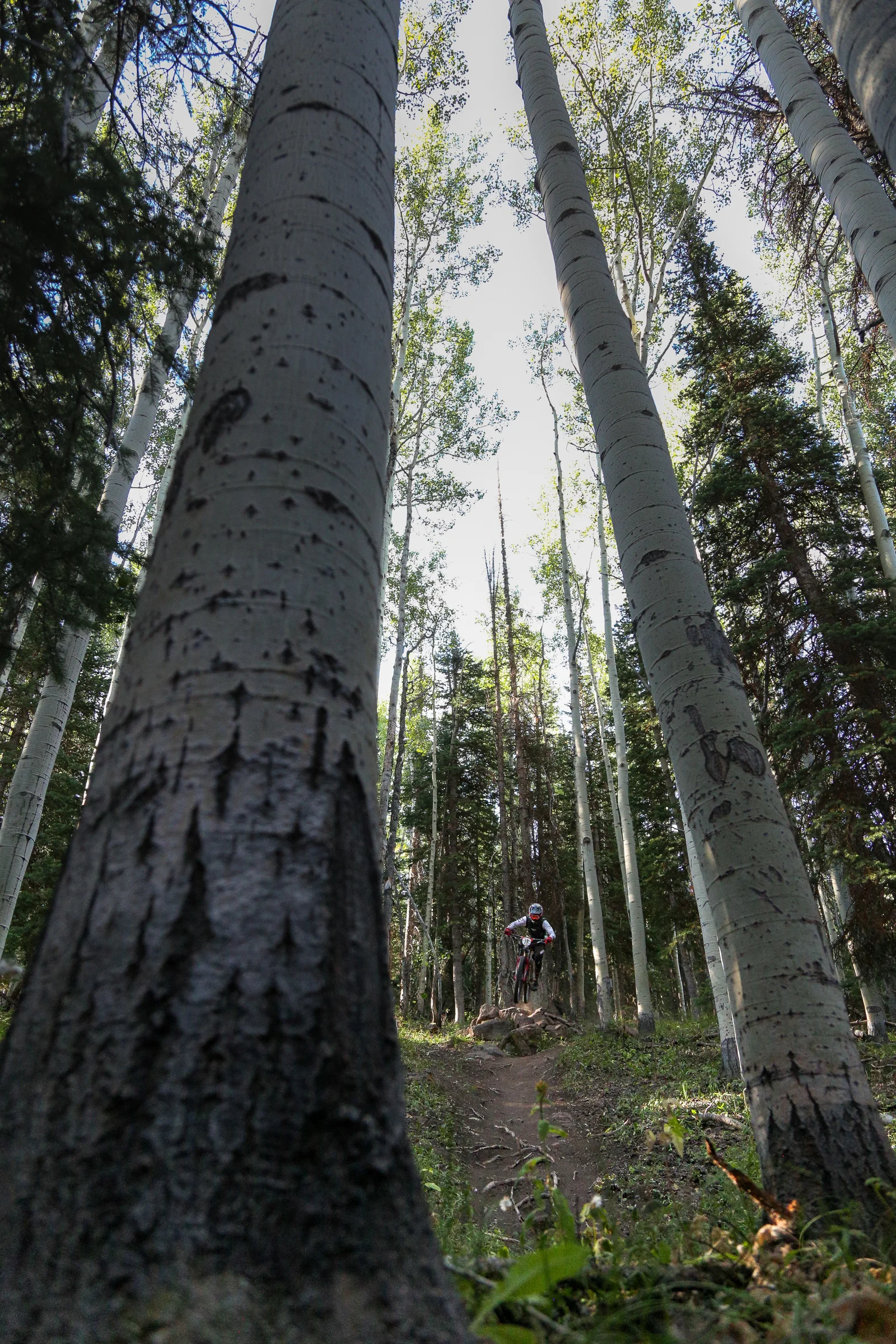Revolution Enduro Powderhorn #009