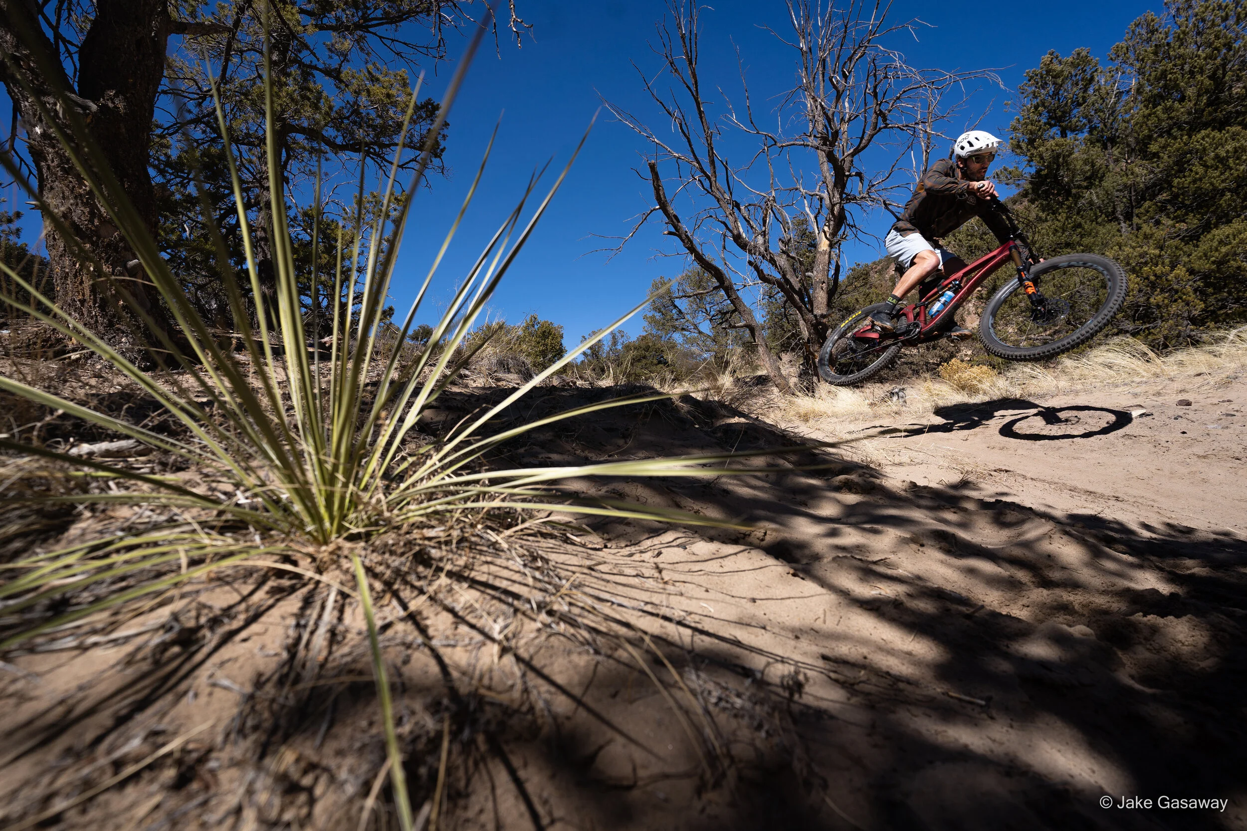 Absolute_Bike-3.jpg