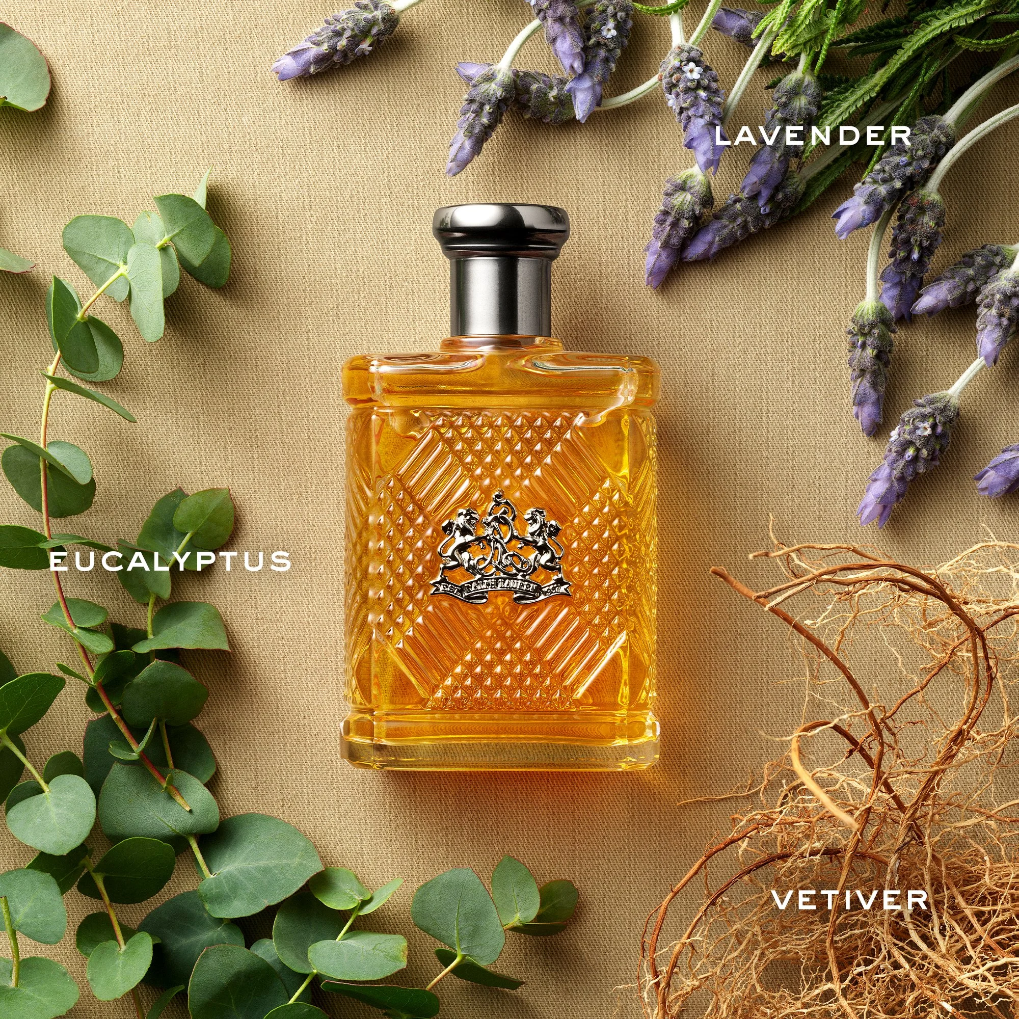 ralph-lauren-fragrances-safari-for-men-pdp-ingredient-carousel.jpg