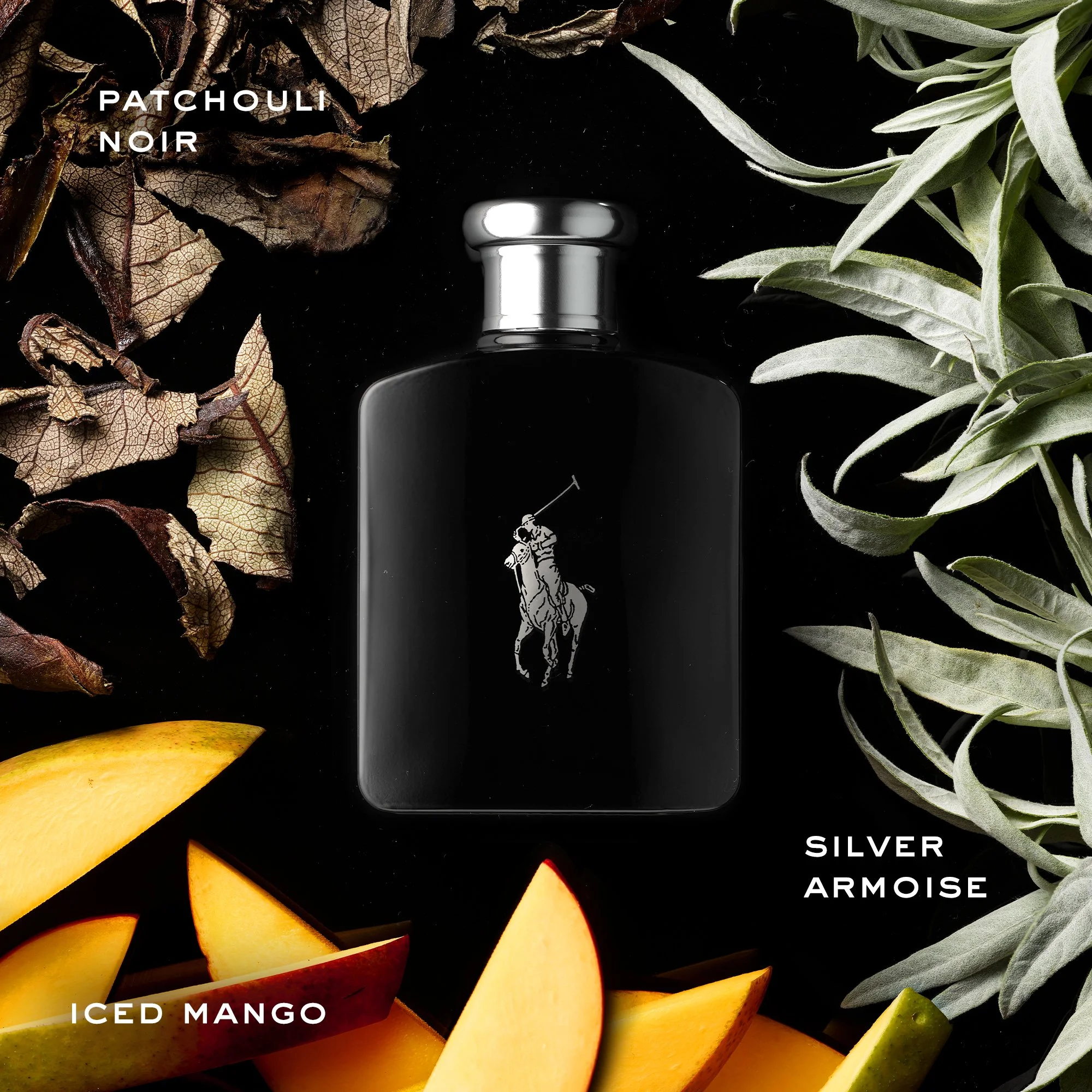ralph-lauren-fragrances-polo-black-eau-de-toilette-ingredient-laydown.jpg