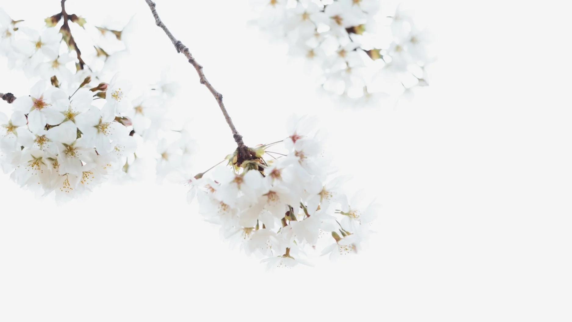 masaaki-komori-628157-unsplash.jpg