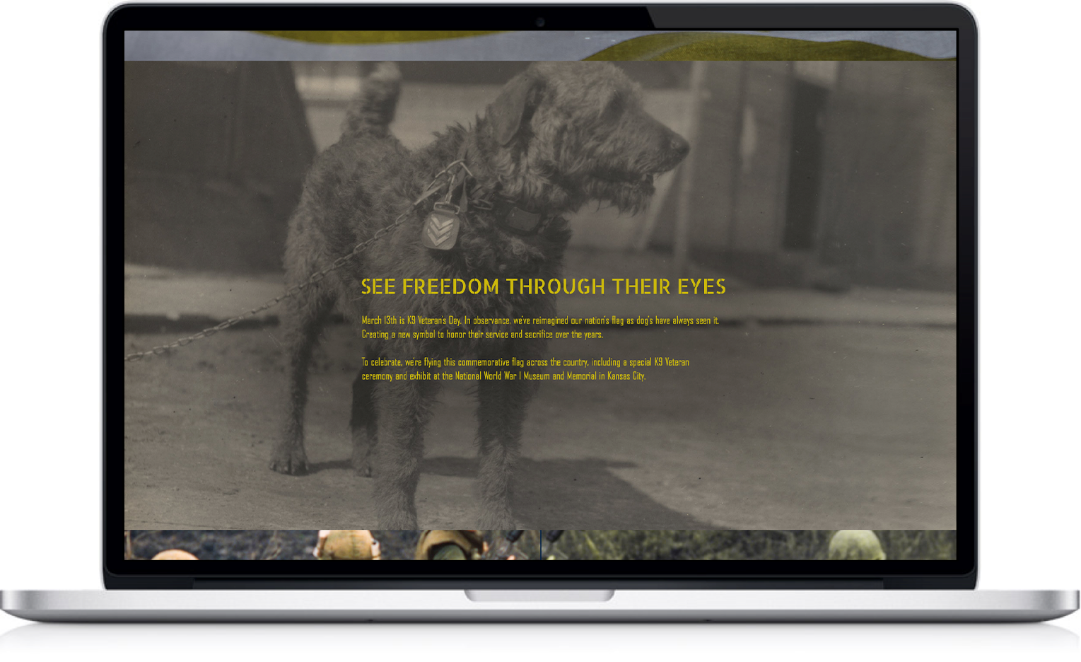 K9VeteransWebsite_Writeup.png