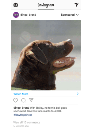Tennis_Drop_Gif_layout.gif