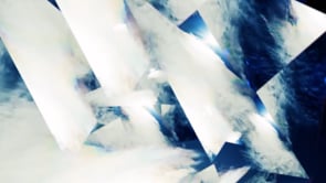 AEROSOLIDAE