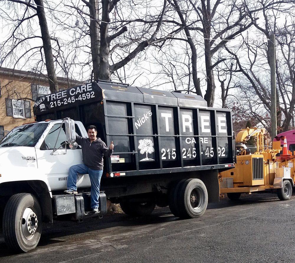 Jacksonville Tree Service - Jacksonville Tree Service