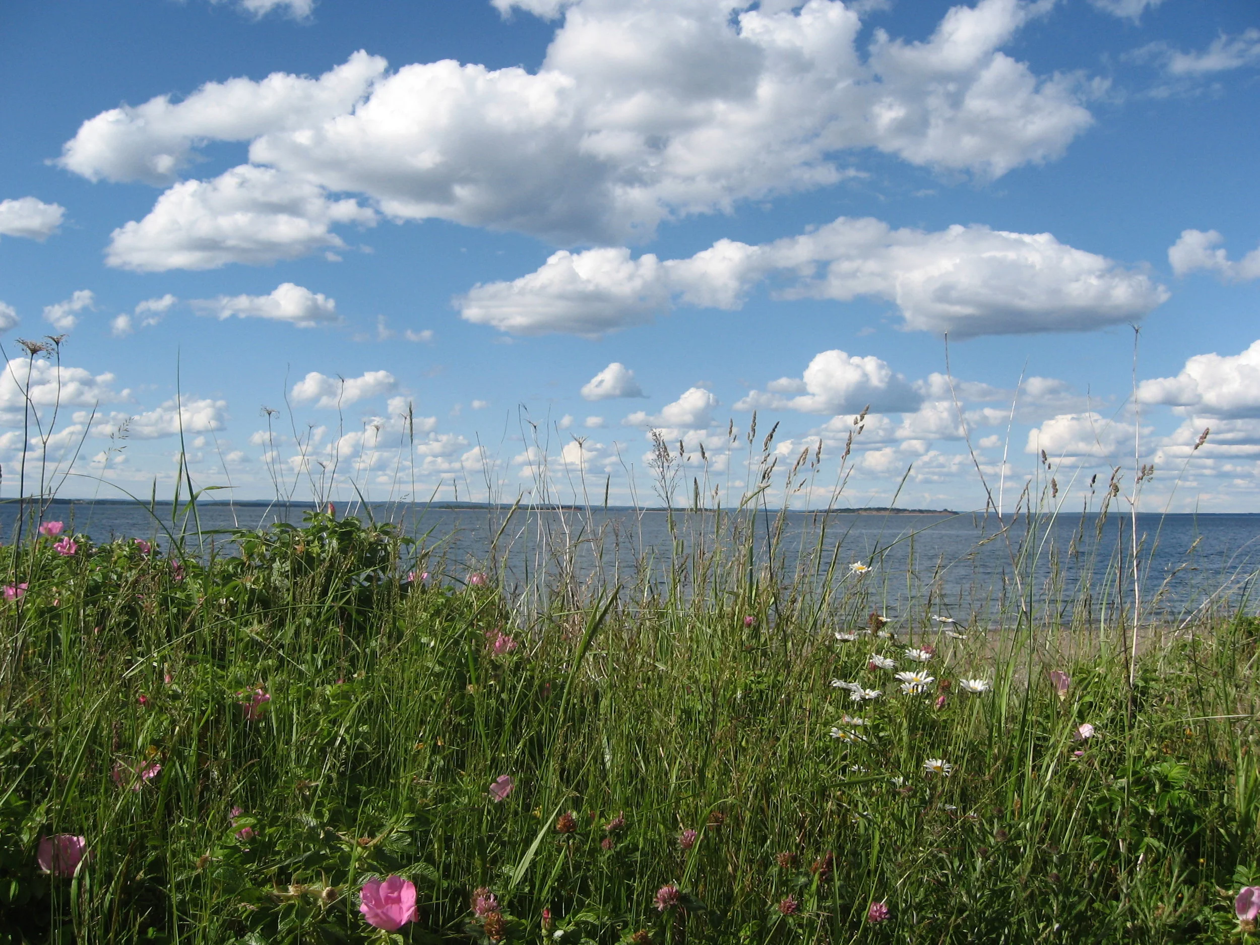 Reese Beach, Nova Scotia
