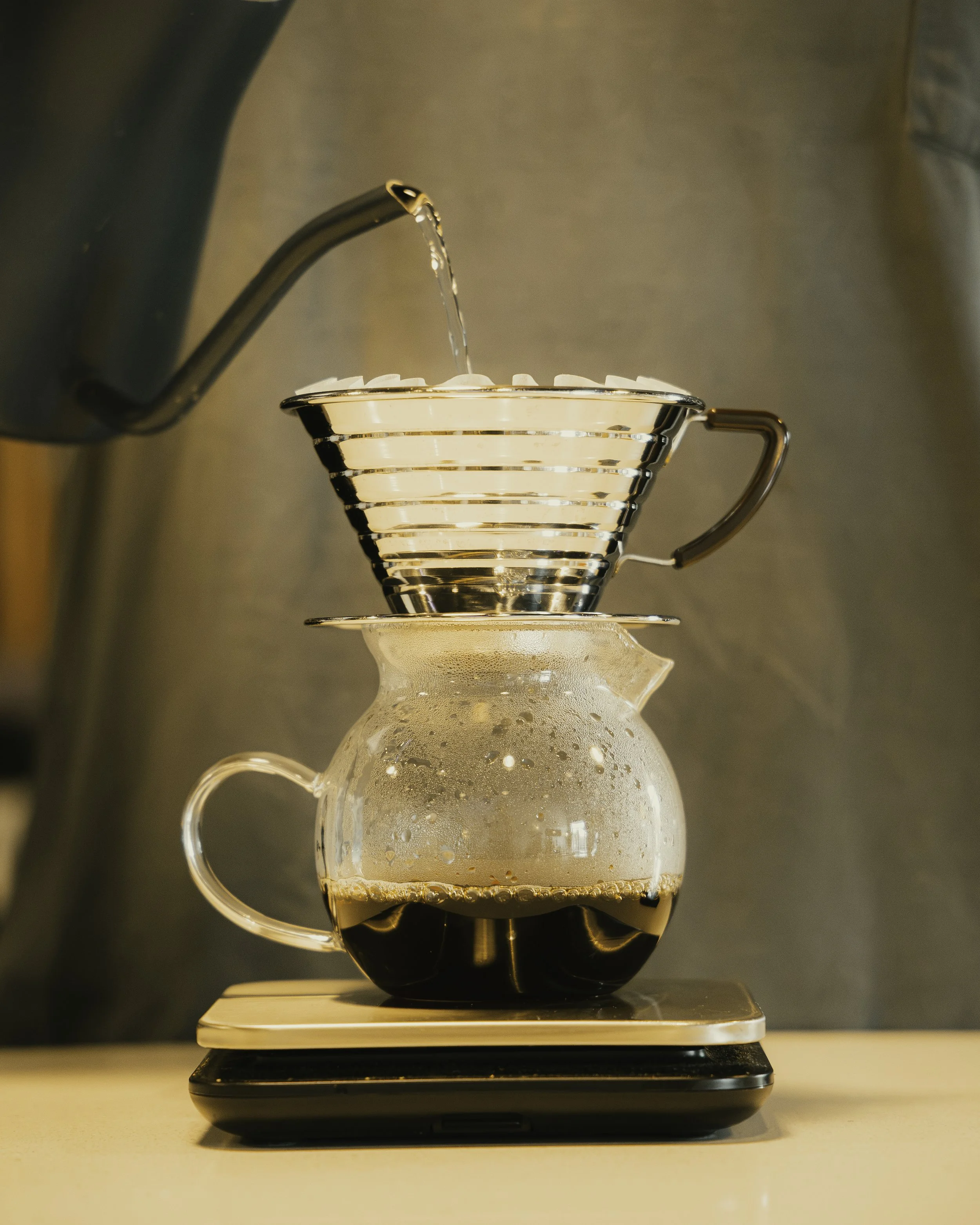 Cohesive Coffee - Aug.2026-57.jpg