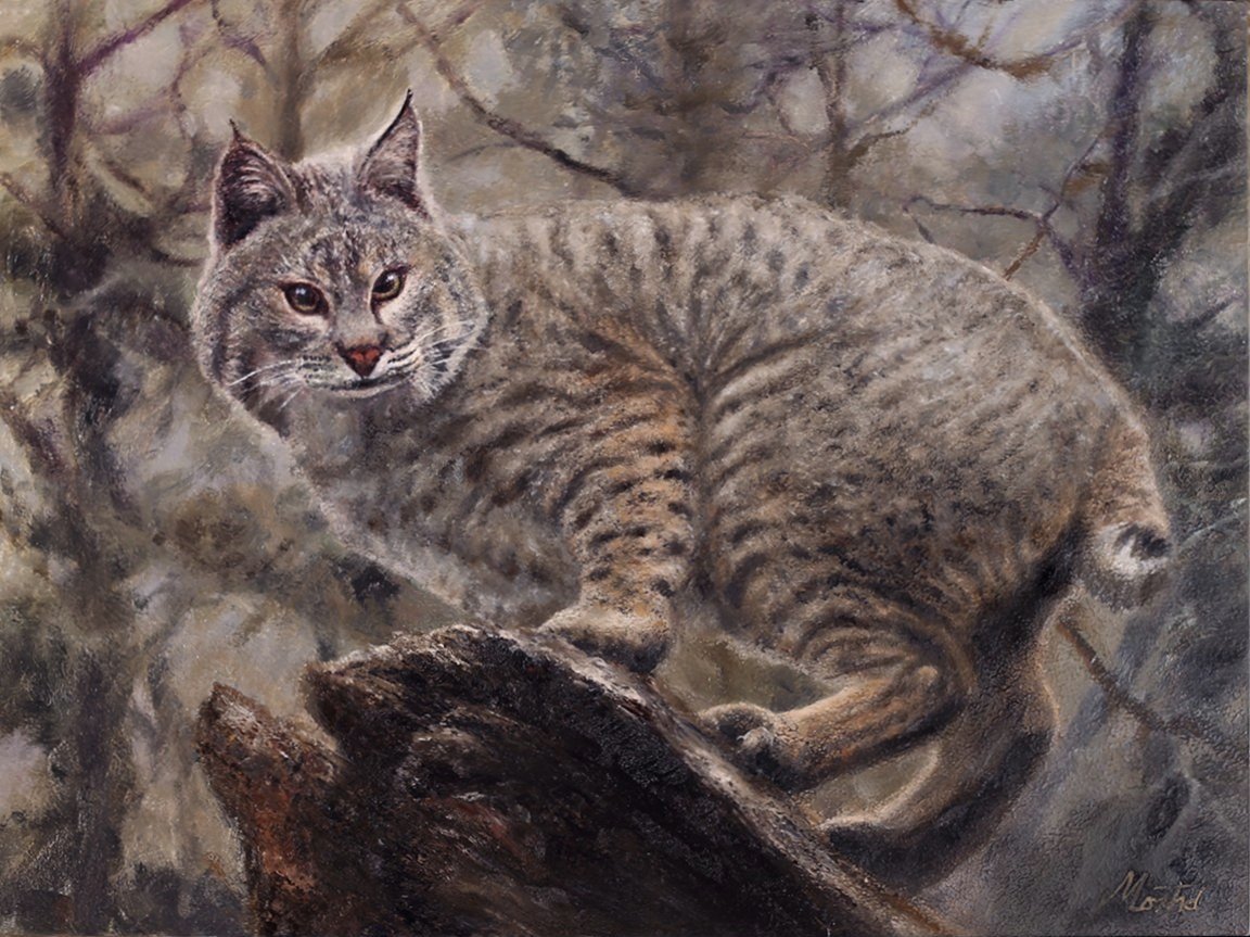 Perched 12x16 - Oil