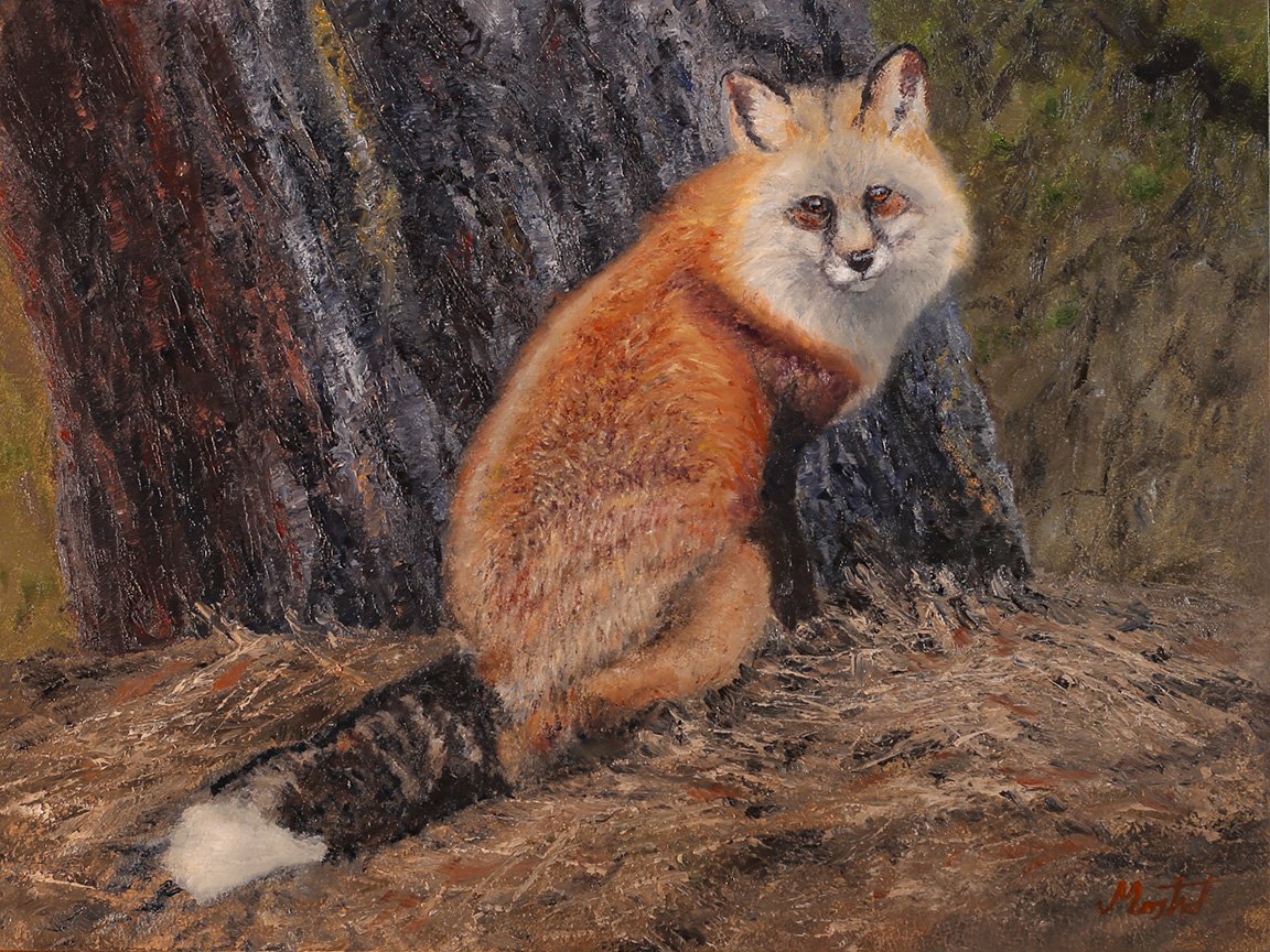 Fox Find 12x16 - Oil