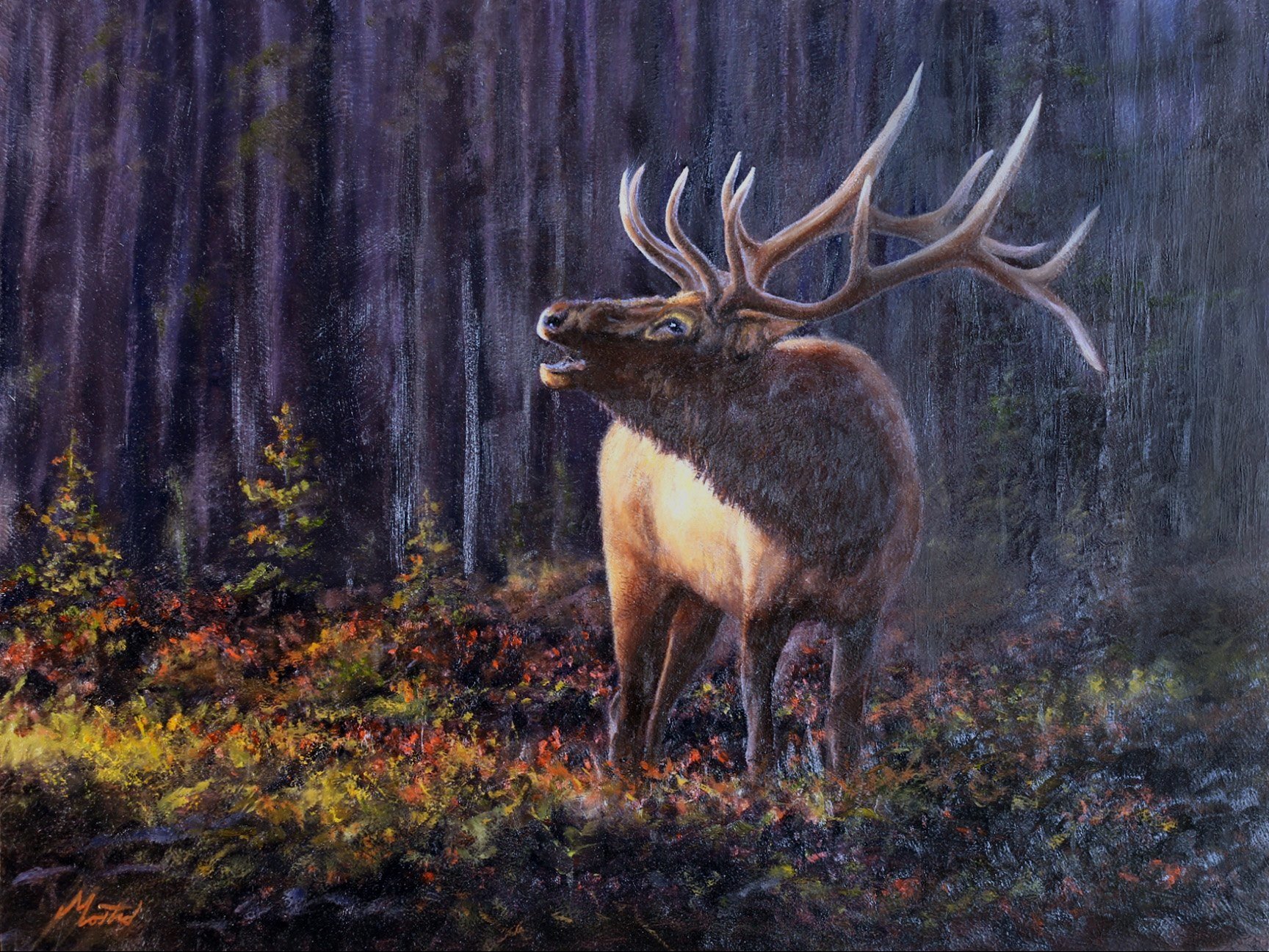 Deep Woods Bull 18x24 - Oil