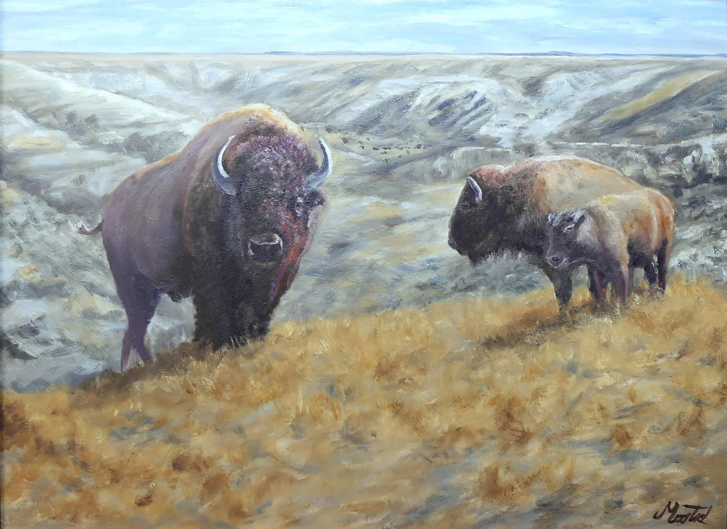 Bison Trio - Oil 12x16