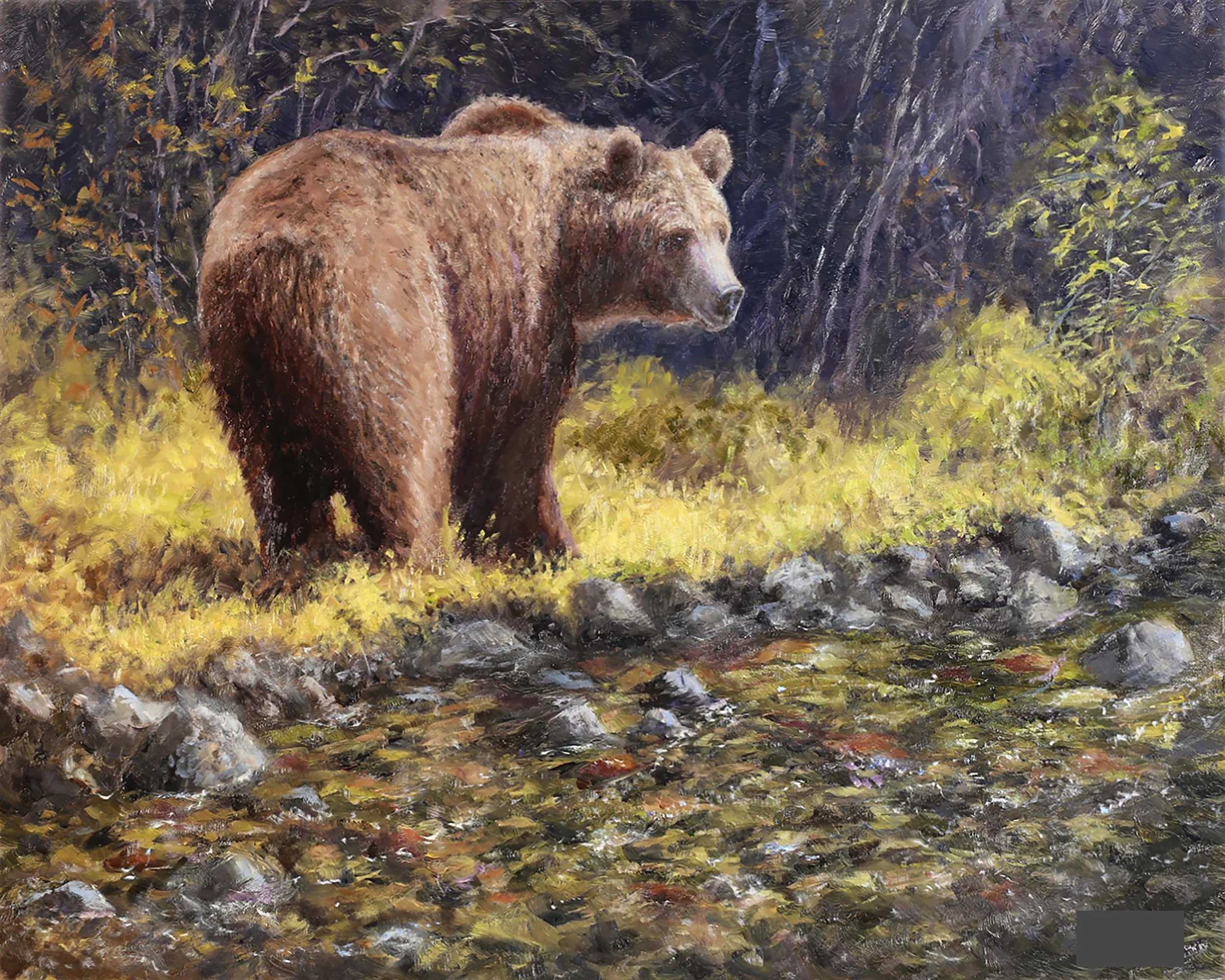 Bear in Mind -16x20 - Oil