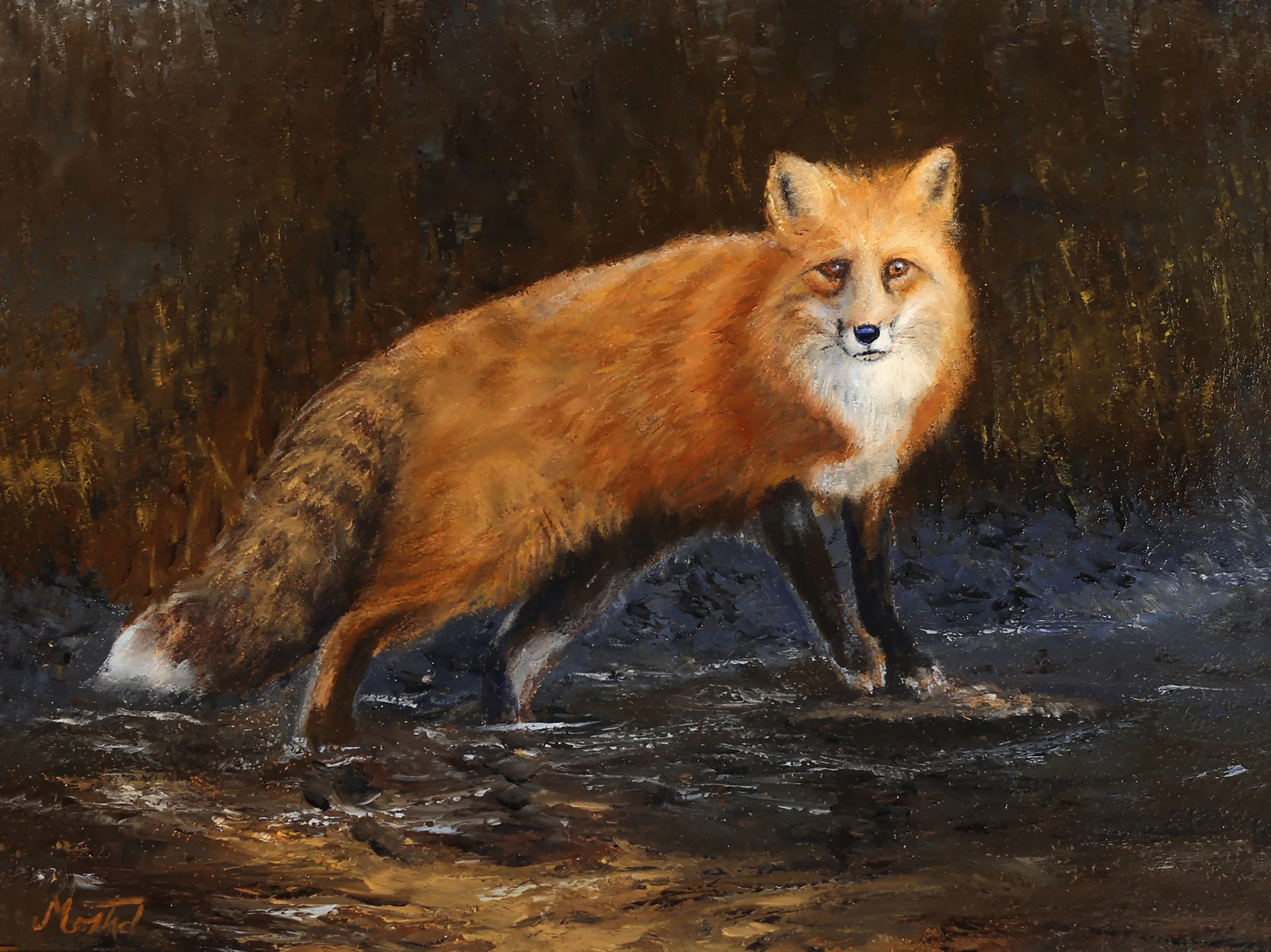 Fox Find 12x16 -Oil