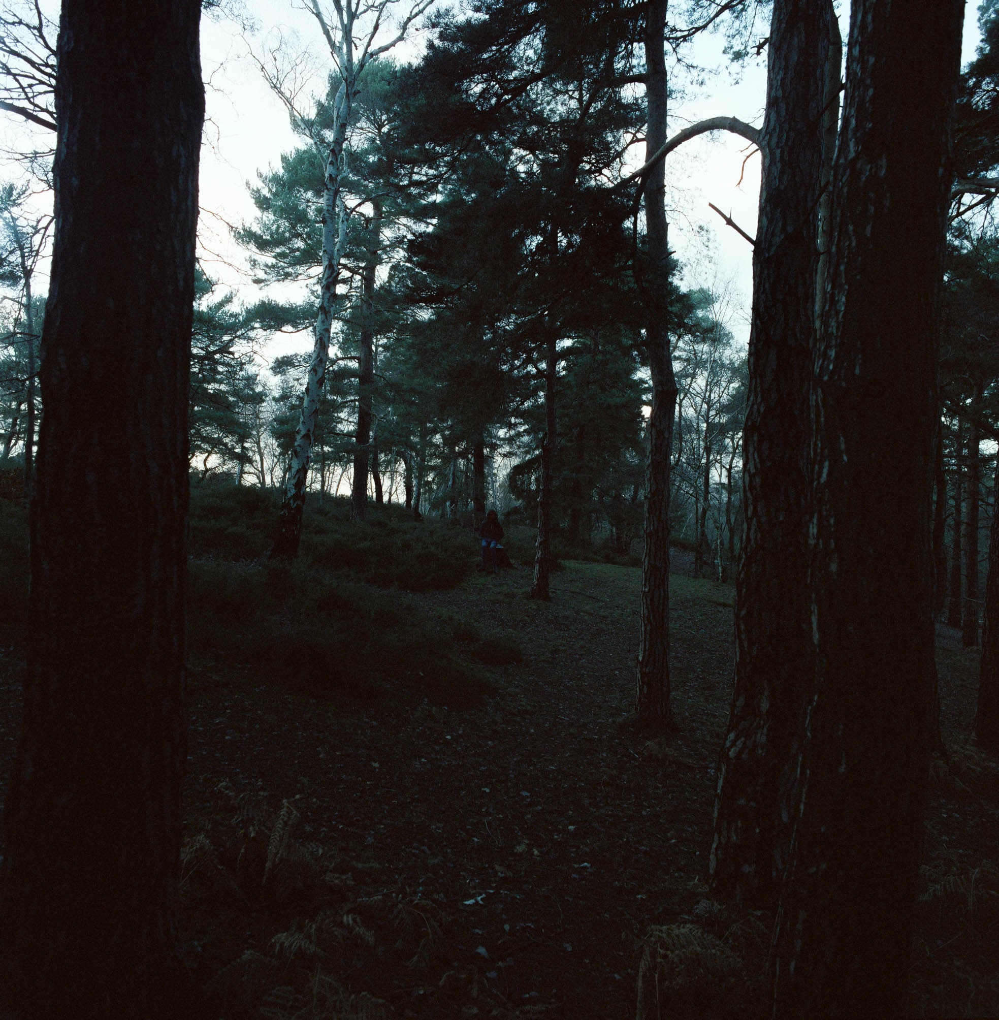 Alone Yet Content