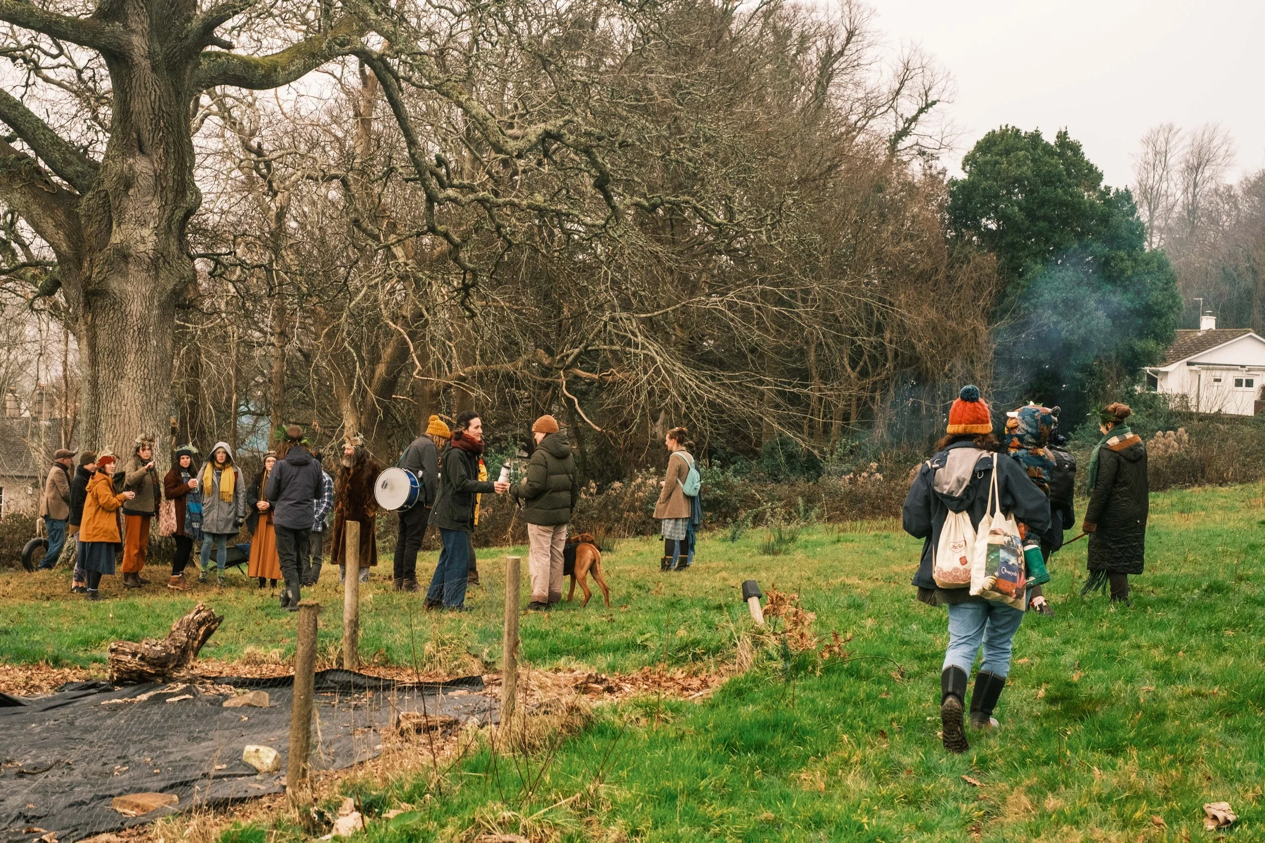 LoveLand Wassail000008.jpg