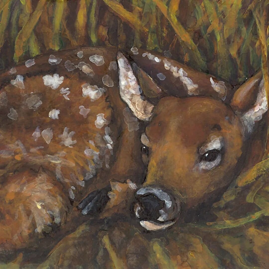 A little fawn wishing you a sweet cozy evening 🤎