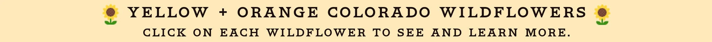 banneryellow200dpi2500x150.jpg