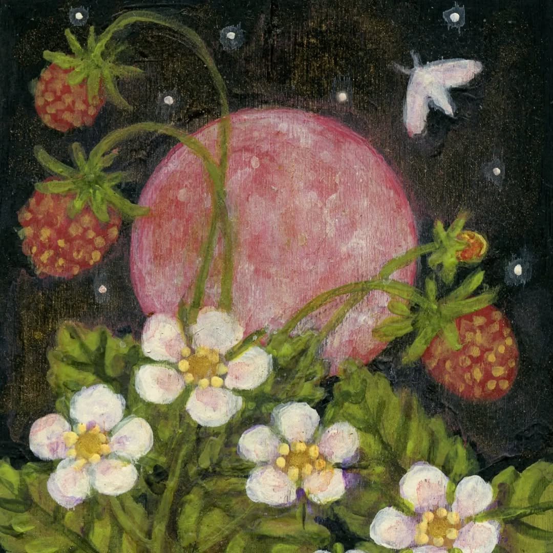 ✨️🍓🌕🍓✨️
Wishing you a sweet full Strawberry Moon, a full heart berry moon ✨️❤️✨️