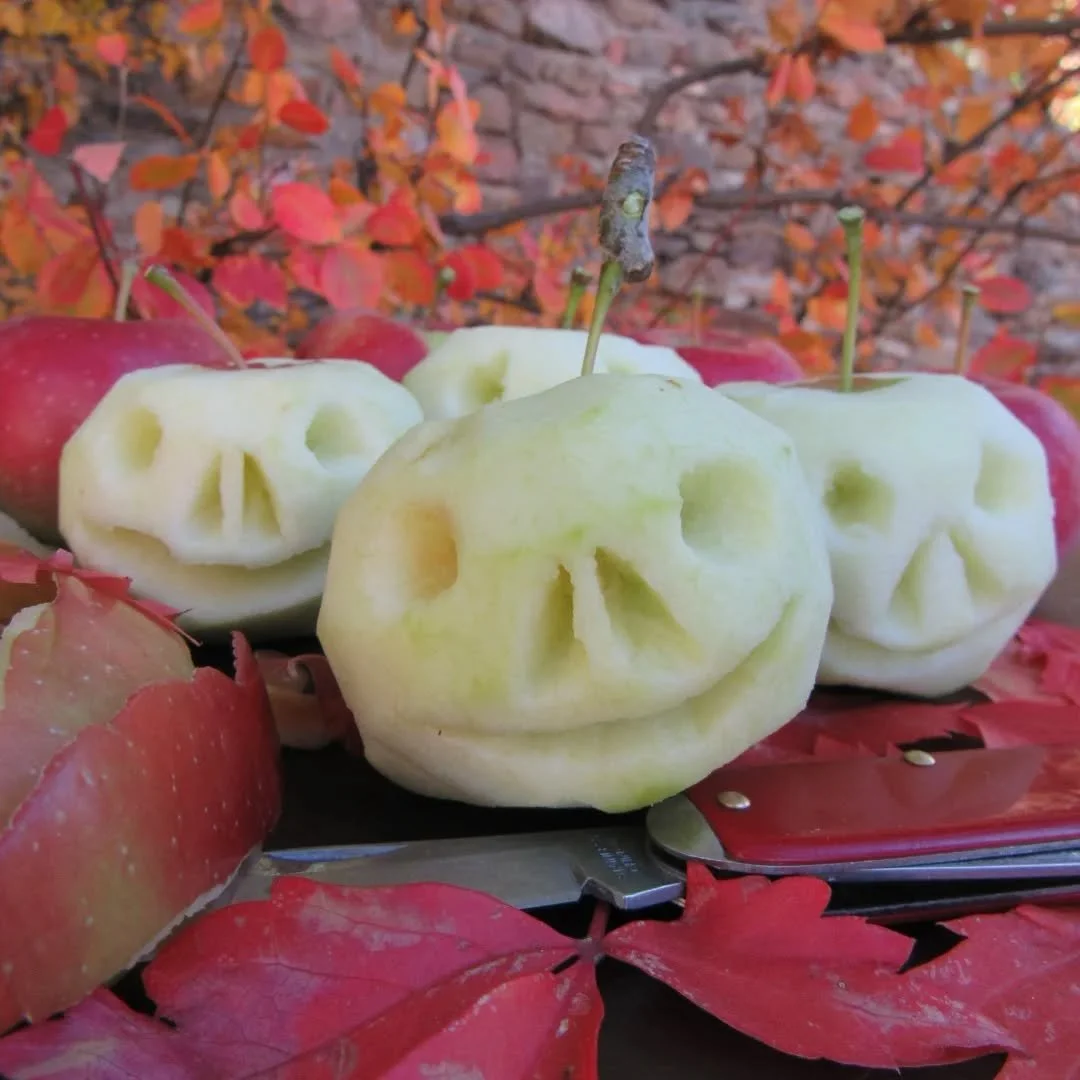 We have several apple trees in the backyard and side alley, and a few years ago, I carved some apple heads 💀 I soaked them in lemon juice and salt, and set them in a little bowl to dry. I meant to make spooky dolls with them, but they're still sitti