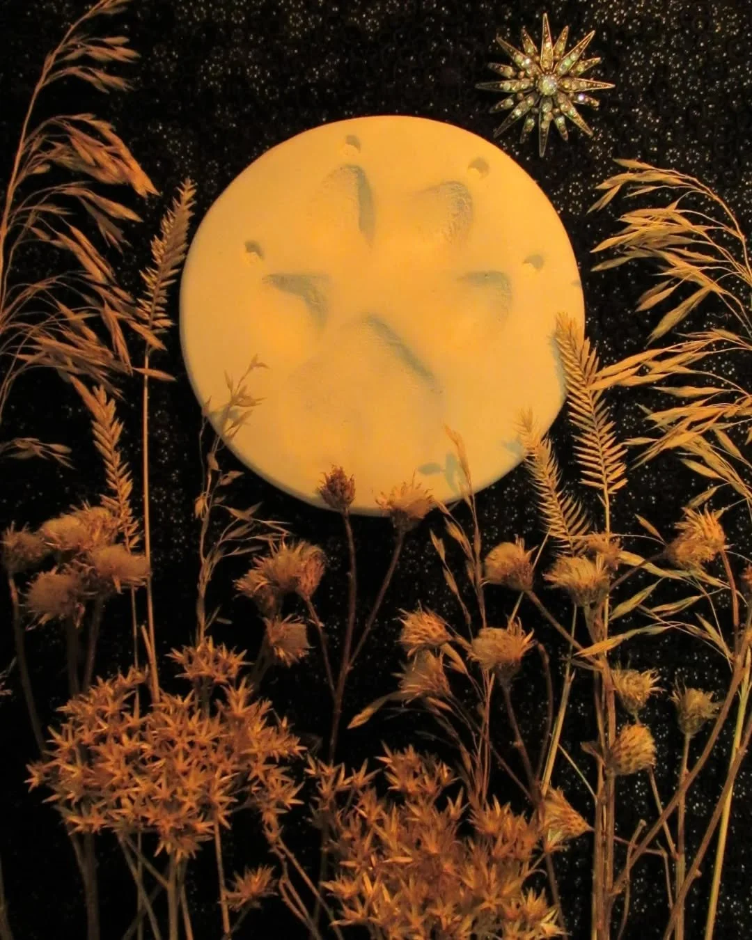 🐾🌕 WOLF MOON 🌕 🐾

Through forest and field, brush and briar, the path is lit by intuition 🖤 Read the night sky, survey the land, check the winds and shadows 🖤 Breathe deeply, catch the scent and find the trail~ you know it by heart 🌾🐾🖤🐾🌾