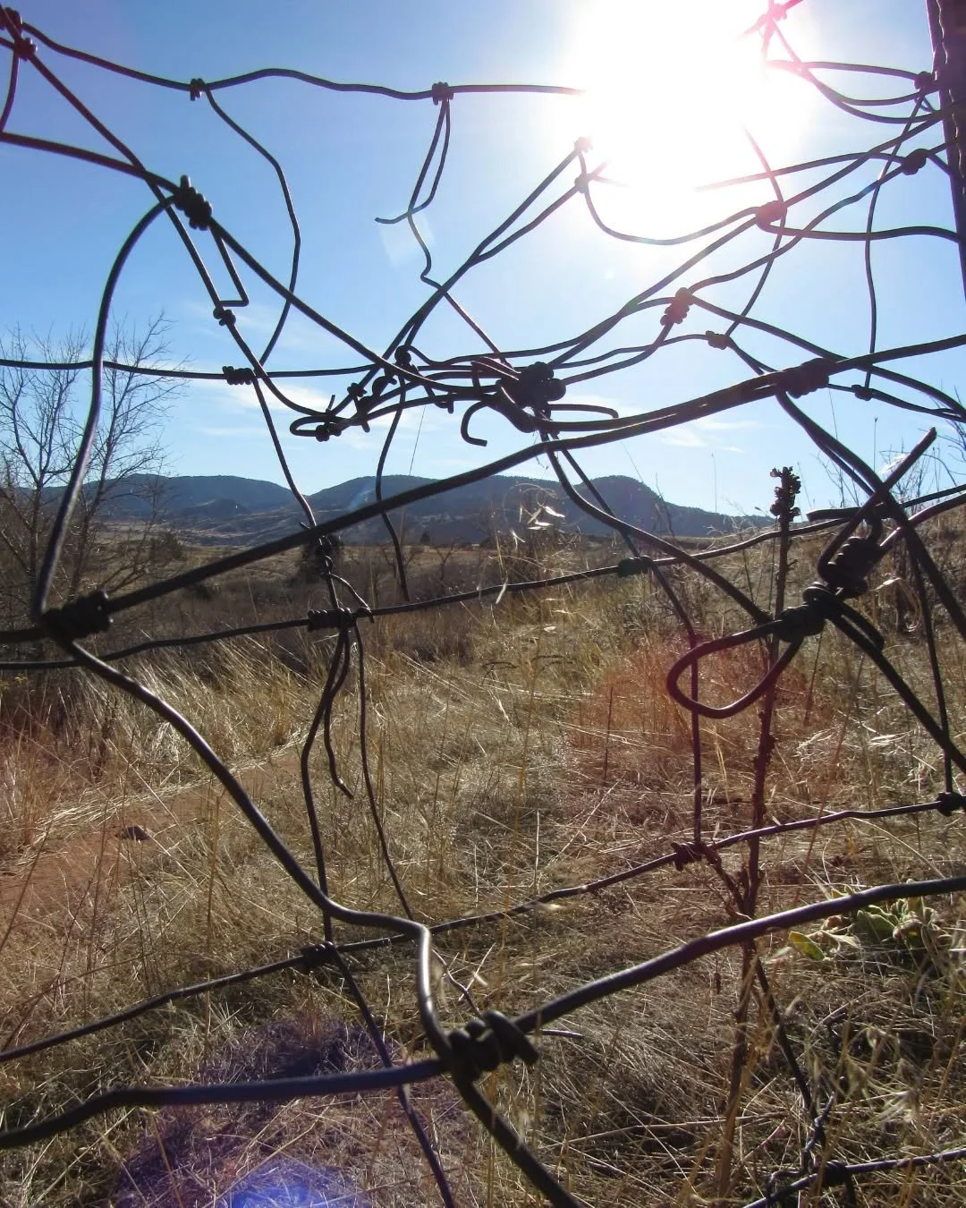 An old cattle fence along the Red Rocks and Dakota Ridge trail&nbsp;🌾&nbsp;We were able to walk right around this one, but it left me thinking about that privilege&nbsp;(on stolen land, even!), and the rights I've been granted just by the fortune of