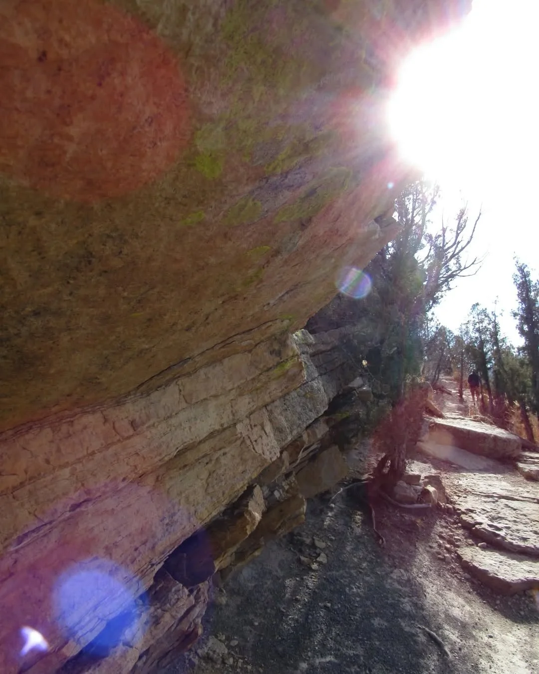 It's been a winter without snow here, but there's a little in today's forecast. Really hoping for it!&nbsp;❄️

Here's a&nbsp;sunny hike earlier this month along Dakota Ridge Trail in Morrison&nbsp;🌞&nbsp;The trail follows the Dakota Hogback ridgelin