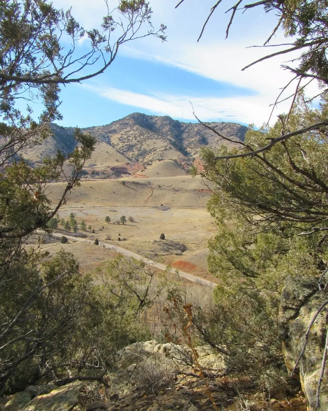 More from a sunny hike along Dakota Ridge Trail&nbsp;🌞&nbsp;The trail mostly follows the top of the ridge, windblown juniper growing from the exposed sandstone, but dips down into a little shady grove of scrub oak&nbsp;🪾🪨🌲&nbsp;The red color in t