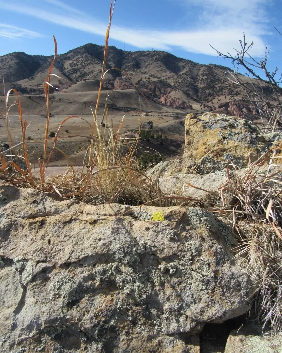 A few more from Dakota Ridge Trail&nbsp;⛰️🌞&nbsp;The trail follows the hogback ridge, with Mount Morrison and Red Rocks to the west, and Green Mountain and Denver suburbs below to the east&nbsp;🌾&nbsp;It was windy but clear and wonderful to look do