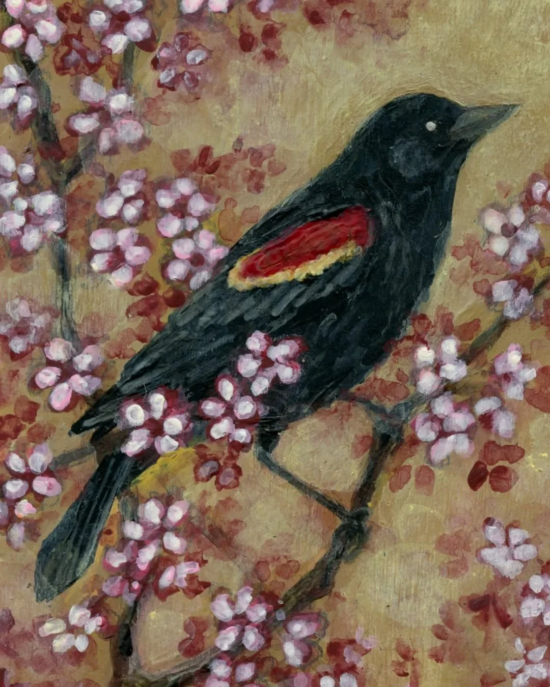 🌸 Apple trees are blooming here and red-winged blackbirds are calling 🐦&zwj;⬛ Welcome April! 🌸🐦&zwj;⬛🌸