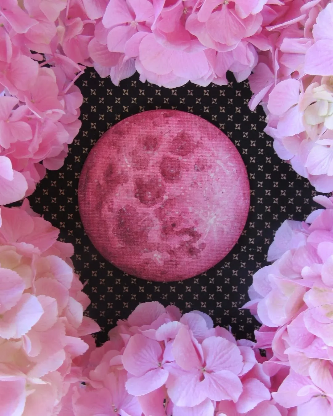 🌸🌕🌸 Tonight's full Pink Moon is named for fields of an eastern wildflower, creeping phlox, or moss pink 🌸 Wouldn't it be wonderful if the moon really were pink? 🌸🌕🌸