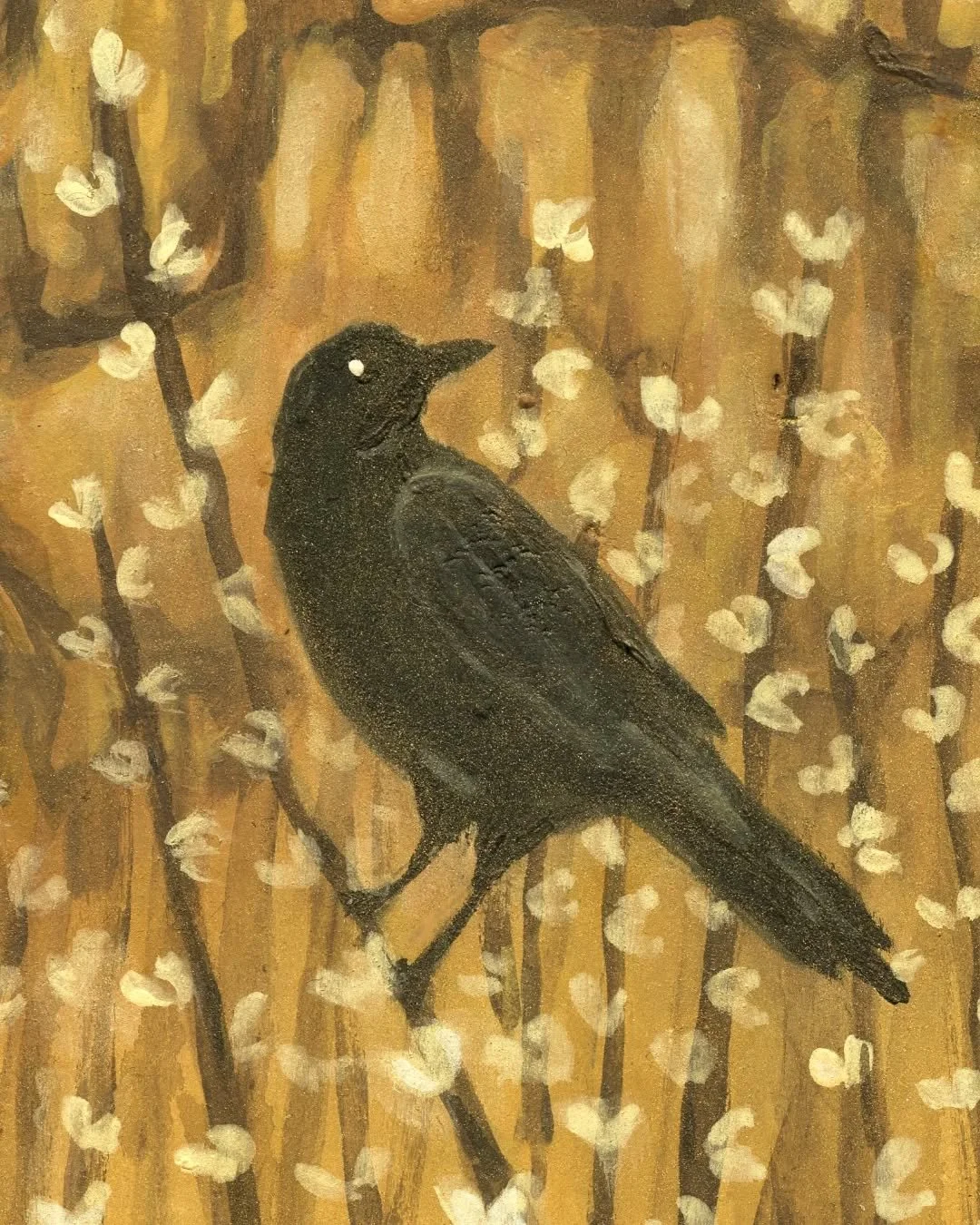 Plum blossom canyon ✨️🤍✨️